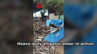 Leistungsstarke Alligatorschere, die Altmetall mit hoher Effizienz schneidet.