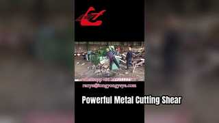 Q43-2500 Alligatorschere