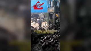 Brikettierpresse 111